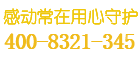 taili保险柜